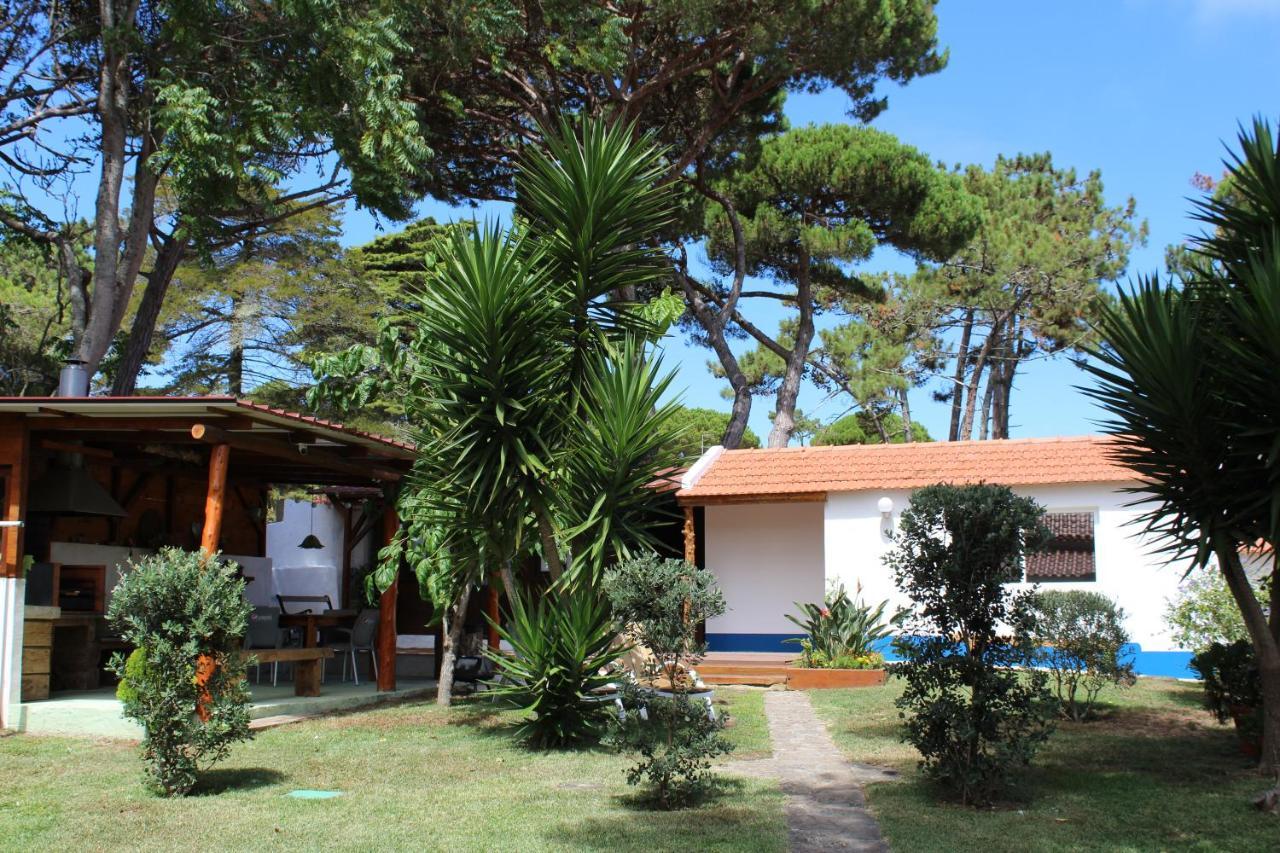 Casinha Do Pinhal Villa Colares Luaran gambar