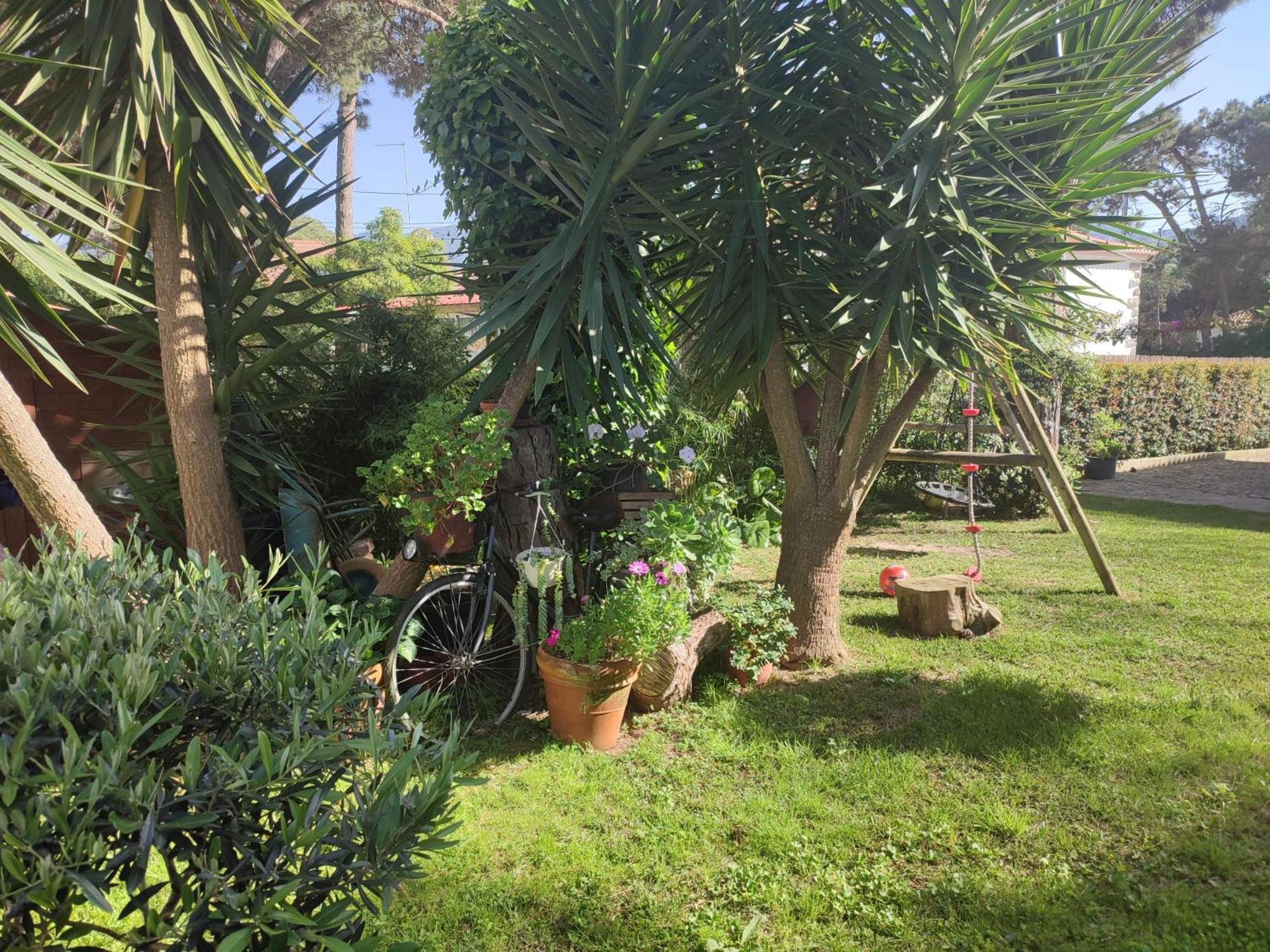 Casinha Do Pinhal Villa Colares Luaran gambar